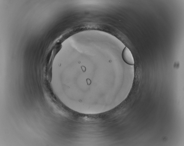 X0000111480722200908251000