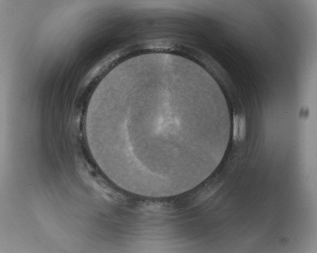 X0000111480723200908251000