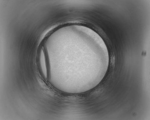 X0000111480724200908251000