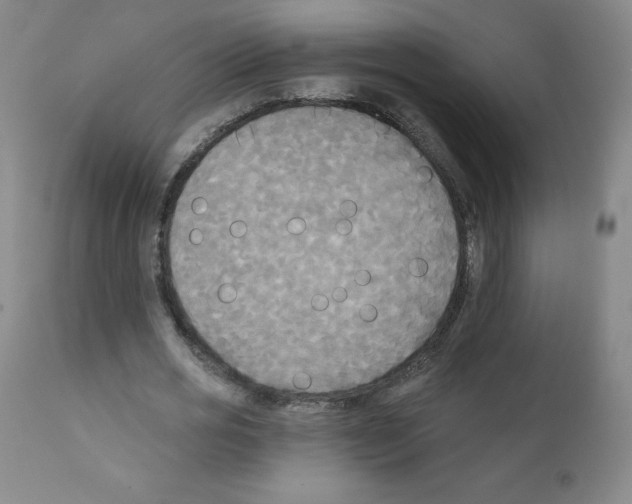 X0000111480725200908251000