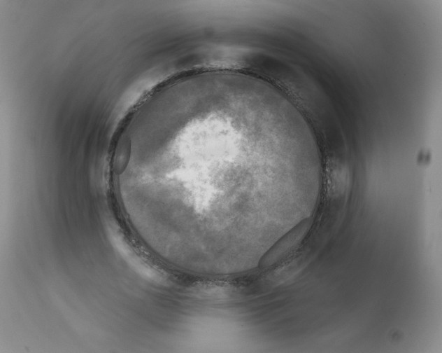 X0000111480726200908251000