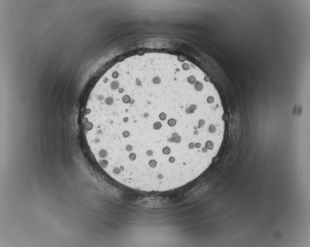 X0000111480727200908251000