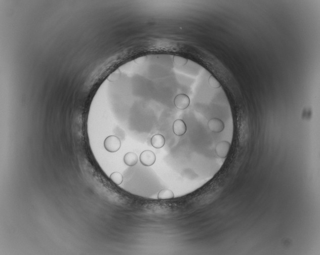 X0000111480729200908251000