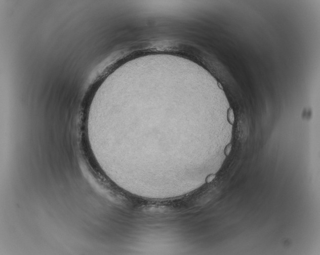 X0000111480730200908251000