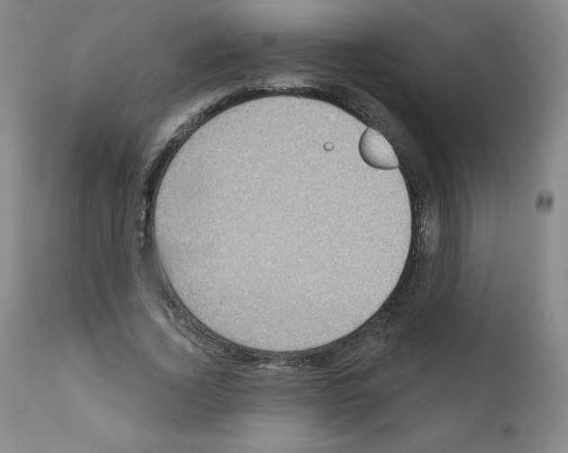 X0000111480732200908251001