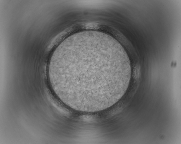 X0000111480733200908251001