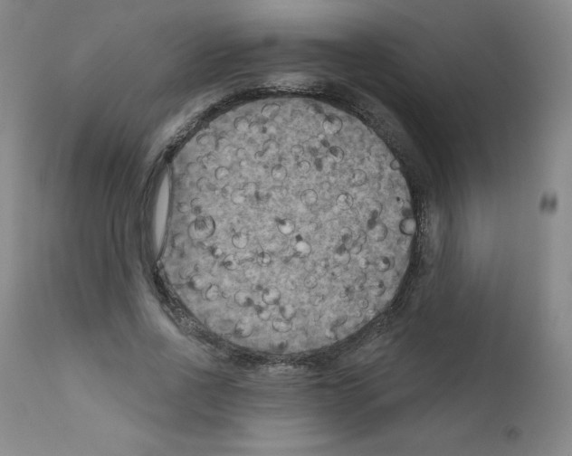 X0000111480734200908251001