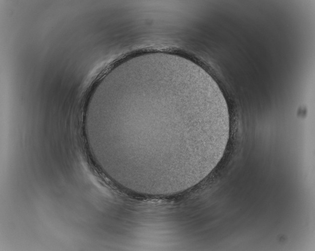 X0000111480736200908251001