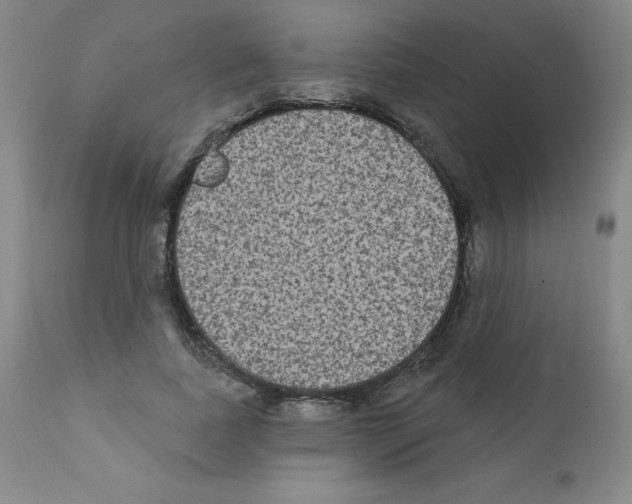 X0000111480739200908251001