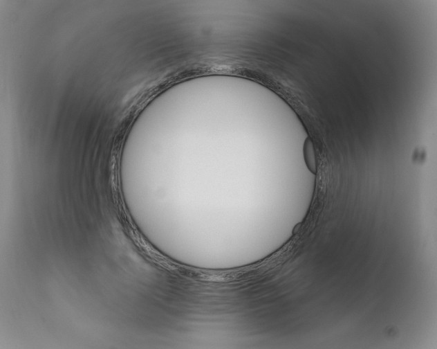 X0000111480740200908251001