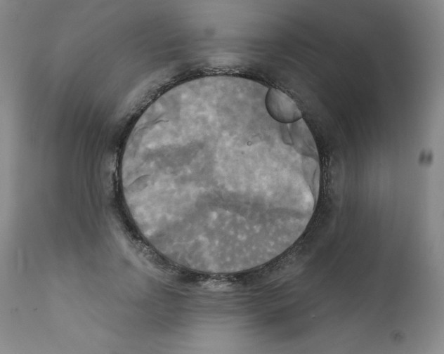 X0000111480742200908251001