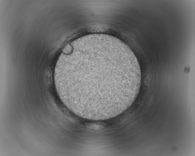 X0000111480743200908251001