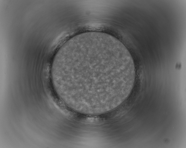 X0000111480744200908251001