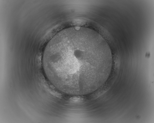 X0000111480745200908251001