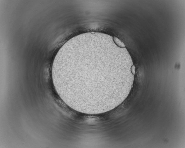 X0000111480746200908251001