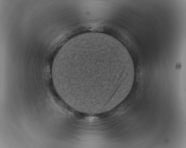X0000111480748200908251001