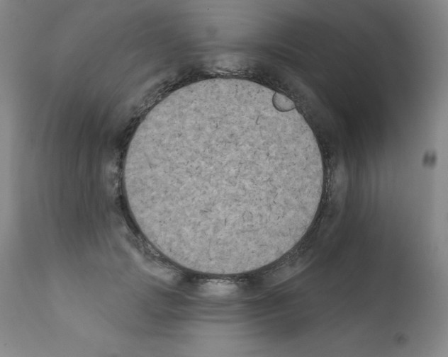 X0000111480749200908251001