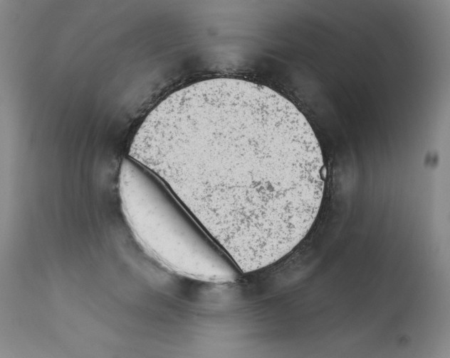 X0000111480750200908251001