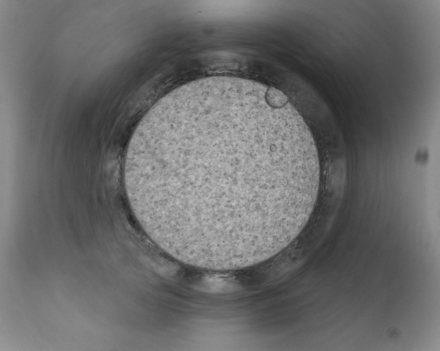 X0000111480753200908251001