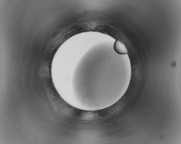 X0000111480754200908251001