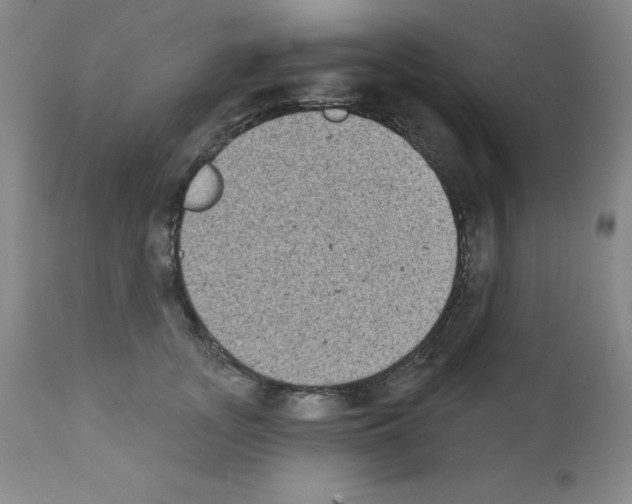 X0000111480755200908251001