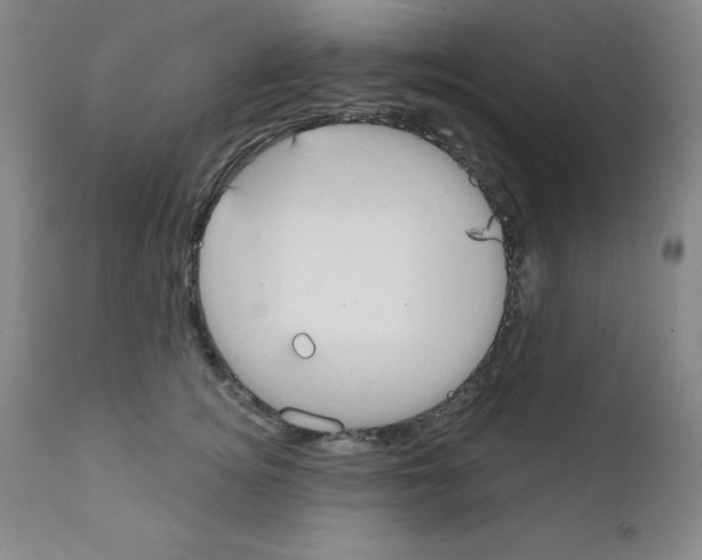X0000111480756200908251001