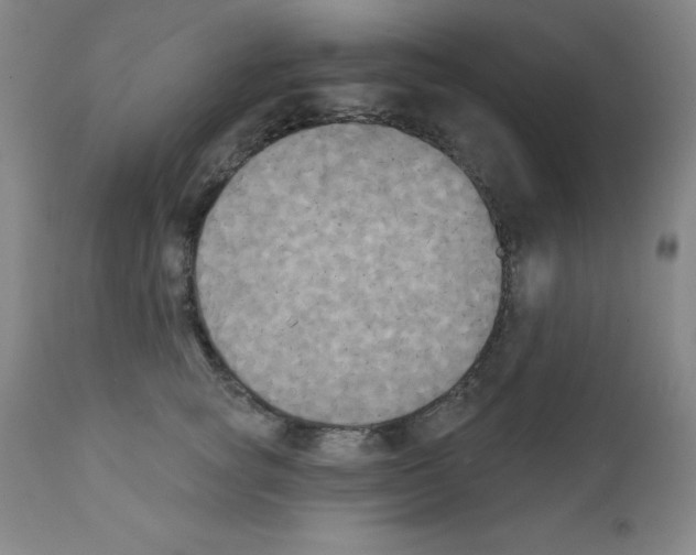 X0000111480757200908251001