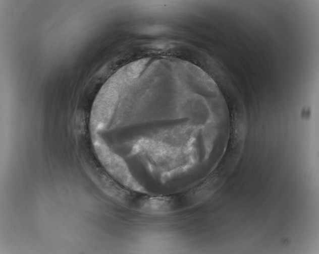 X0000111480758200908251001