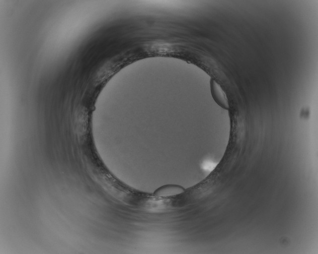 X0000111480760200908251001