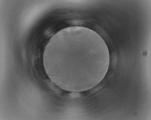 X0000111480762200908251001