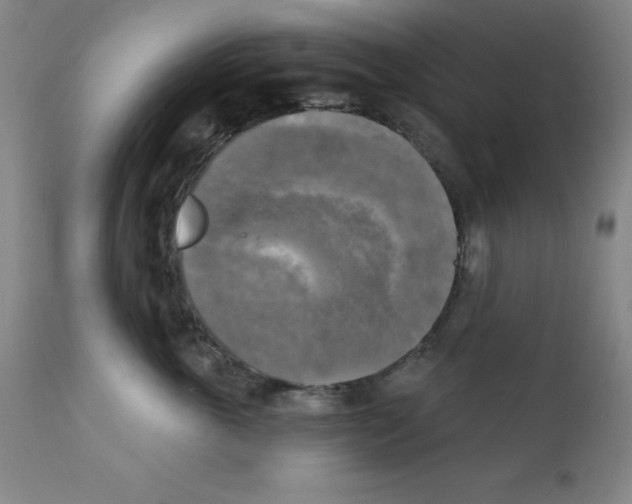 X0000111480763200908251001
