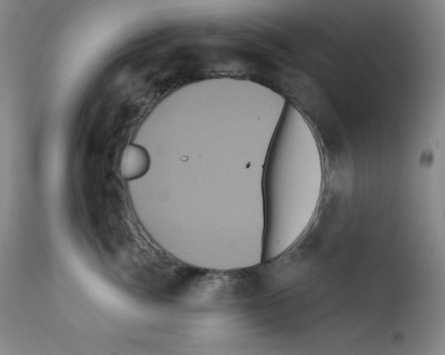 X0000111480764200908251001