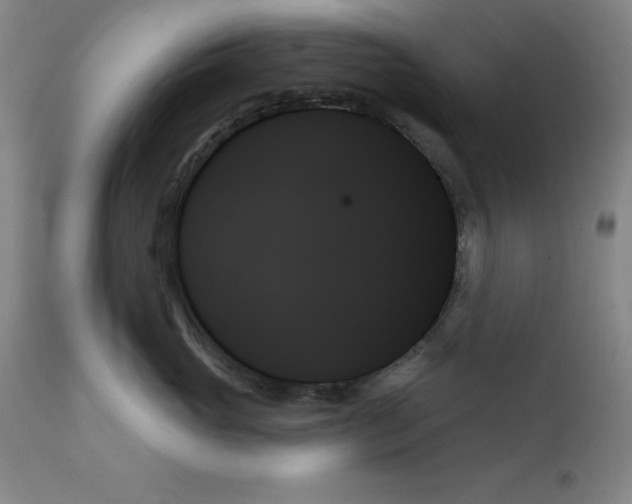 X0000111480765200908251001