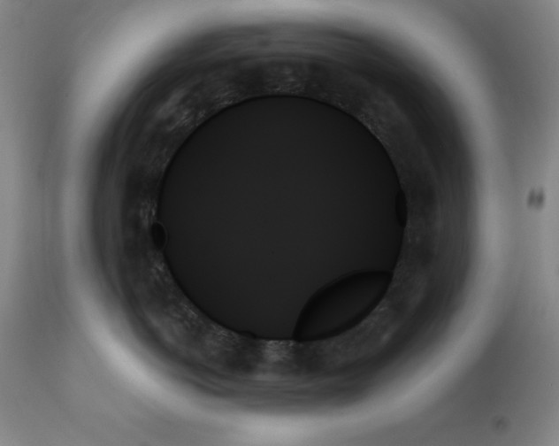 X0000111480766200908251001