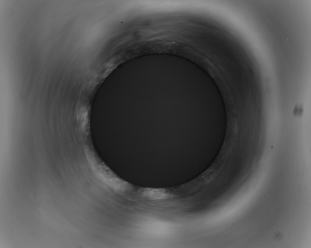 X0000111480767200908251001