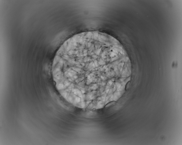 X0000111480768200908251001