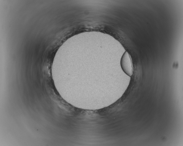 X0000111480770200908251000