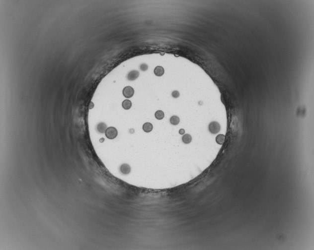 X0000111480771200908251000