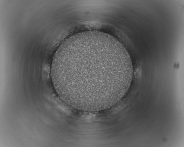 X0000111480772200908251000