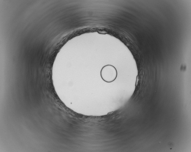 X0000111480773200908251000