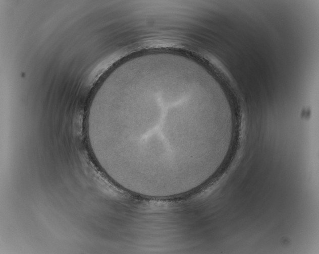 X0000111480777200908251000