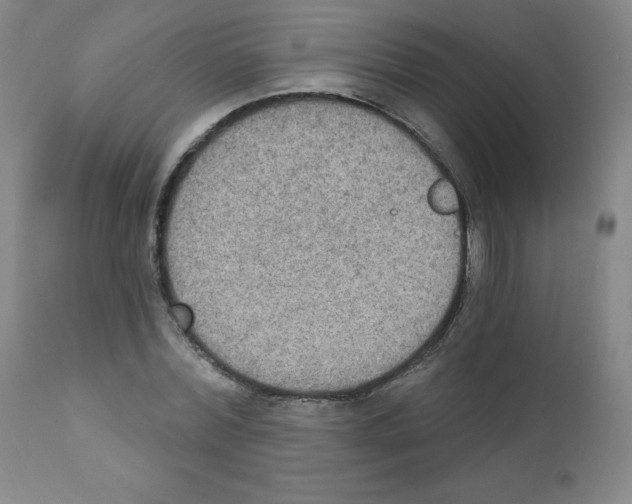 X0000111480780200908251000