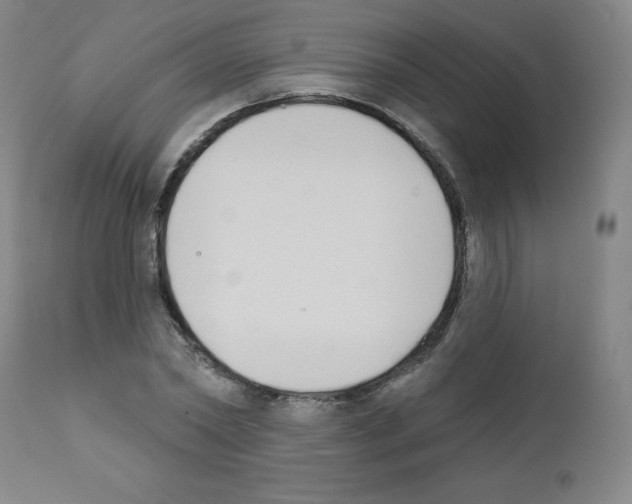 X0000111480782200908251000