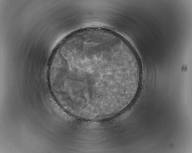 X0000111480783200908251000