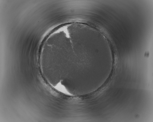X0000111480784200908251000