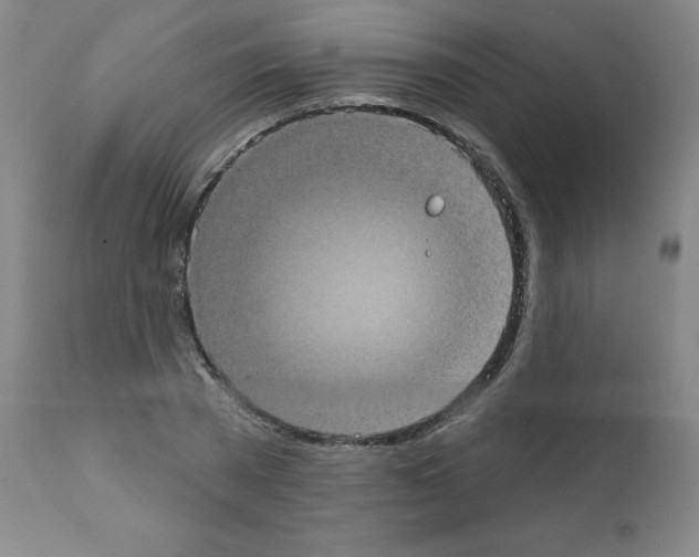 X0000111480785200908251000