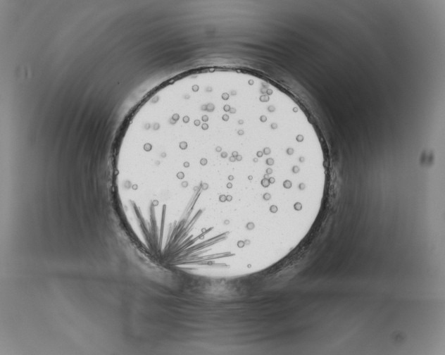 X0000111480787200908251000