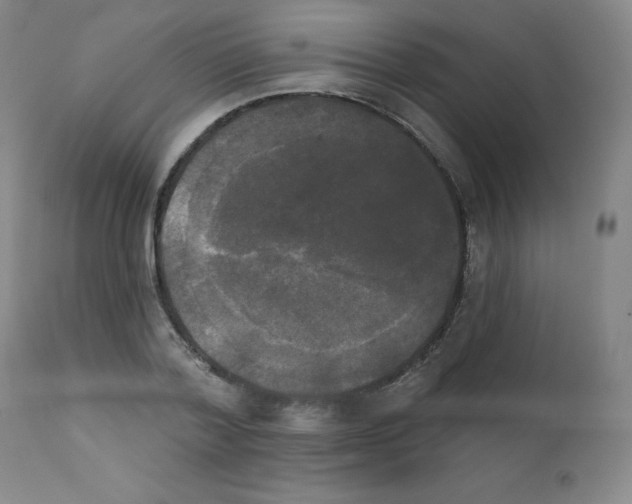 X0000111480788200908251000
