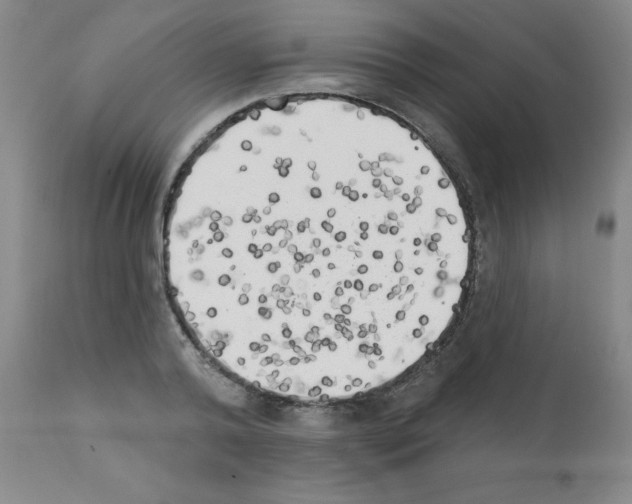 X0000111480792200908251000