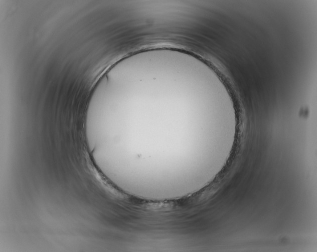 X0000111480793200908251000